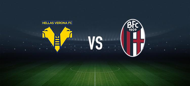 板控制成为 板控制成为